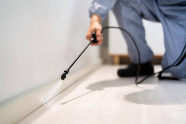 Licensed Mosquito Control service in Valdosta, GA - Show Me Pest Control