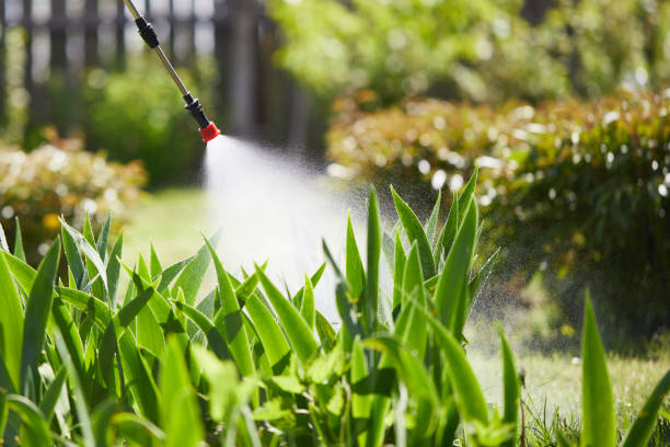 24/7 Emergency Mosquito Control experts in Valdosta, GA
